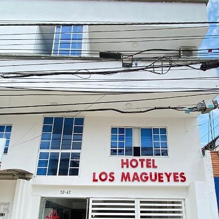 Hotel Los Magueyes Bucaramanga Ngoại thất bức ảnh