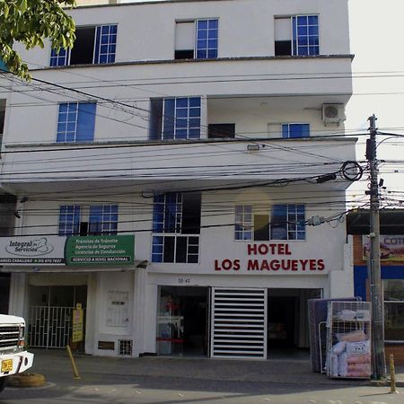 Hotel Los Magueyes Bucaramanga Ngoại thất bức ảnh
