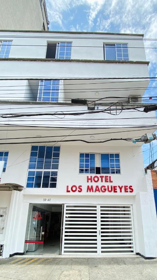Hotel Los Magueyes Bucaramanga Ngoại thất bức ảnh